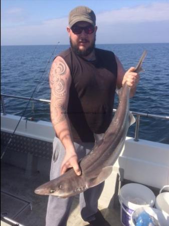 15 lb 8 oz Spurdog by Unknown