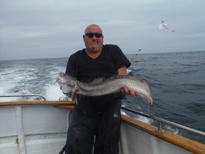 11 lb 6 oz Ling by Lee