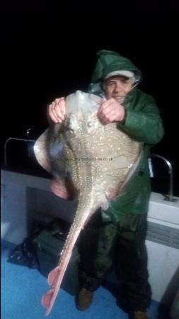 16 lb Undulate Ray by 16lb  undulate  ray