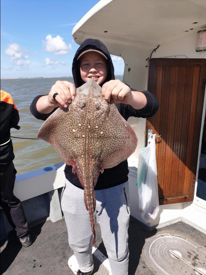 6 lb Thornback Ray by Bob Marshall