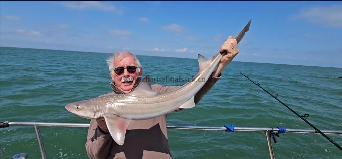 9 lb Smooth-hound by Joe