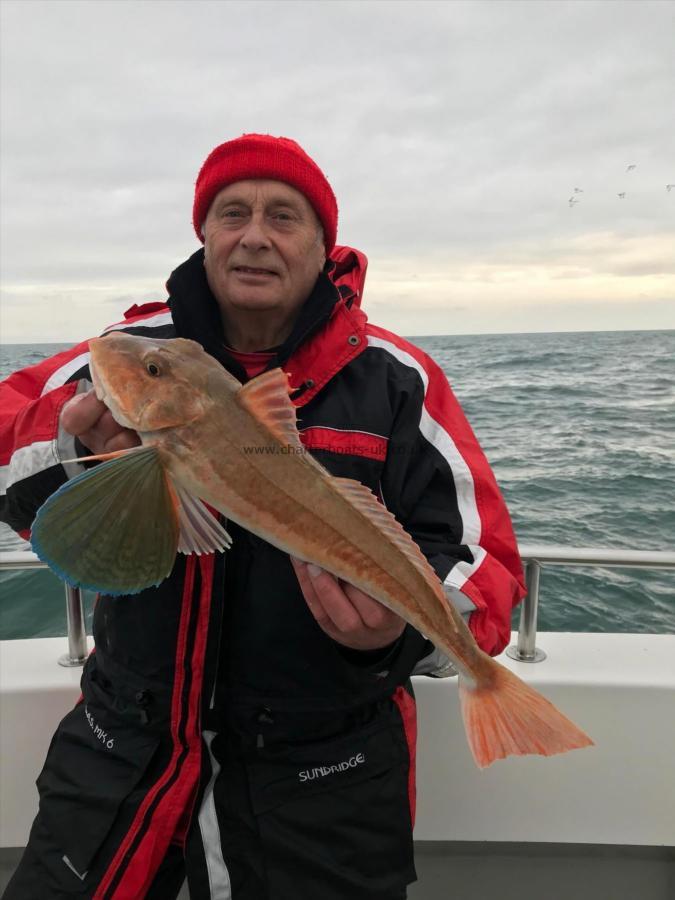 5 lb Tub Gurnard by Unknown