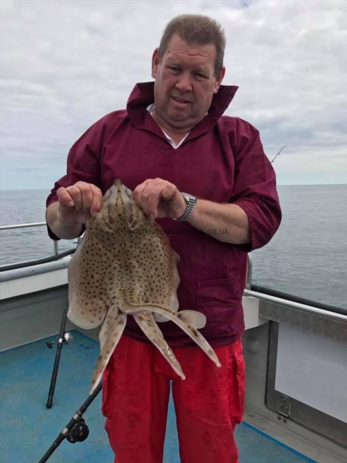 3 lb 8 oz Spotted Ray by Unknown
