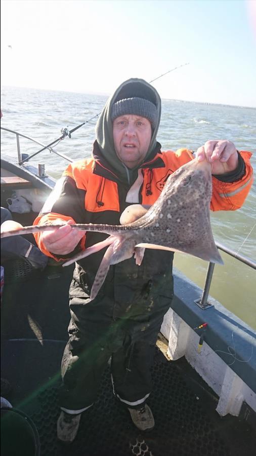 5 lb 3 oz Thornback Ray by Alfie from Essex