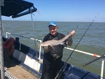 7 lb Smooth-hound by Bruce