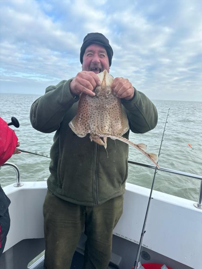 3 lb Spotted Ray by Jimmy Elliott