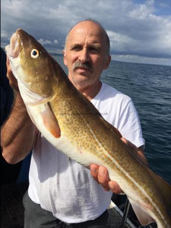 9 lb Cod by karoly szabo burton on trent , cod , 2nd sept 2017