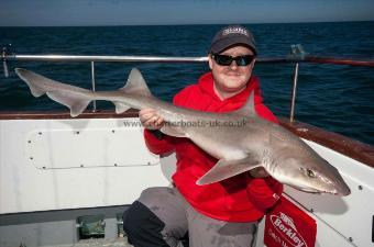 20 lb Starry Smooth-hound by Mike Thrussell Jnr