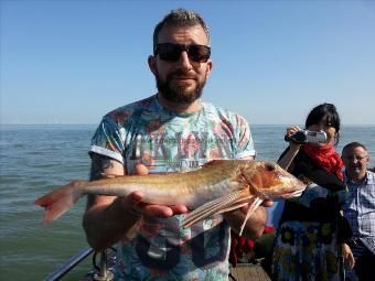 2 lb 6 oz Sapphirine Gurnard by Stef