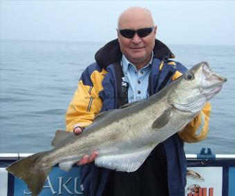 14 lb 8 oz Pollock by Keith Williams