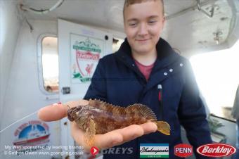 4 oz Tompot Blenny by Thomas