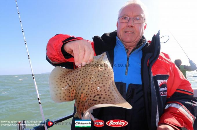 2 lb Spotted Ray by David