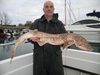 13 lb 9 oz Bull Huss by Steve Herber