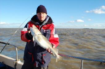 7 lb Cod by Unknown