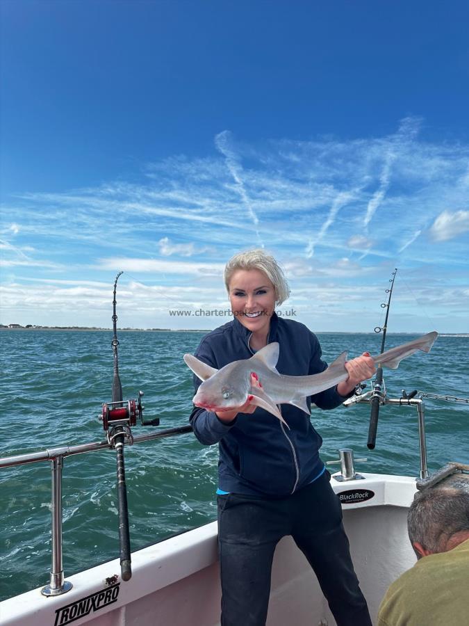 7 lb 8 oz Smooth-hound by Natalia from London