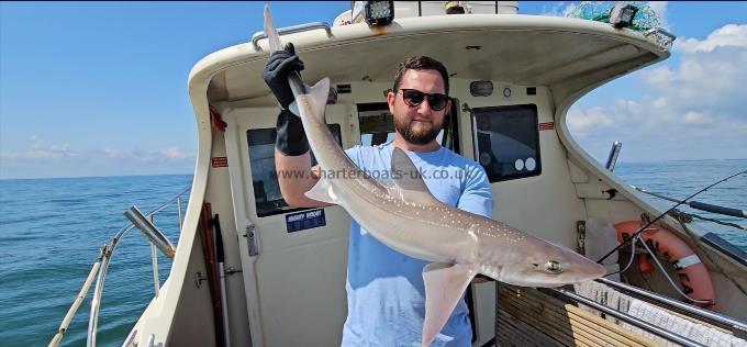11 lb Starry Smooth-hound by Tom