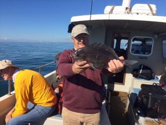 3 lb 12 oz Black Sea Bream by Sam samson