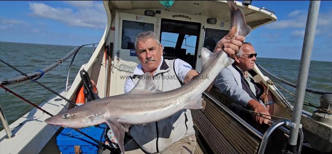 13 lb 8 oz Starry Smooth-hound by Johan