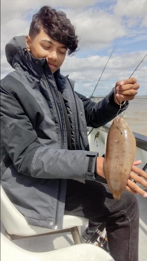 2 oz Dover Sole by Unknown