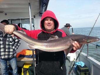 16 lb 4 oz Spurdog by lee