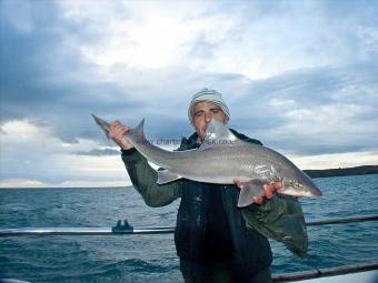 16 lb Starry Smooth-hound by Bryn