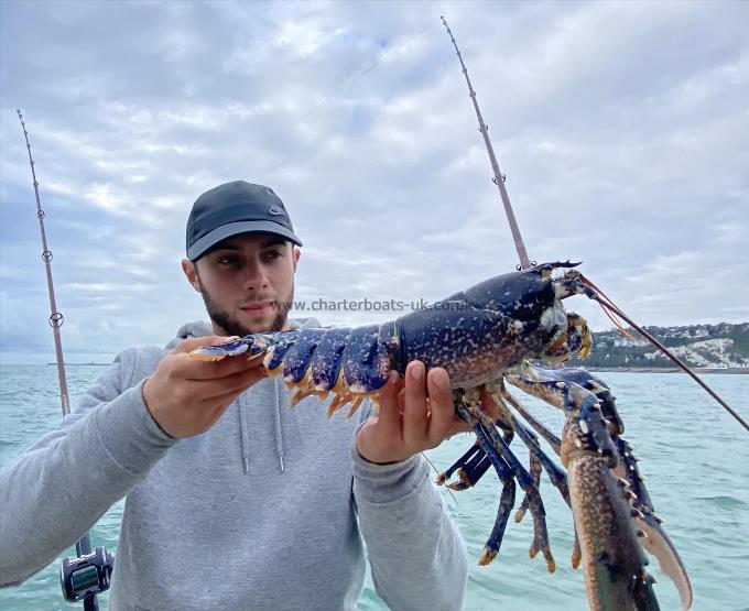 3 lb 5 oz Lobster by Unknown