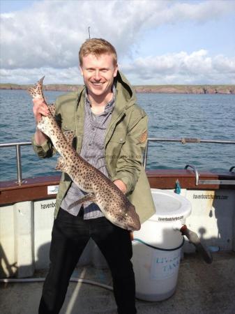 8 lb 2 oz Bull Huss by Fishguard Boys