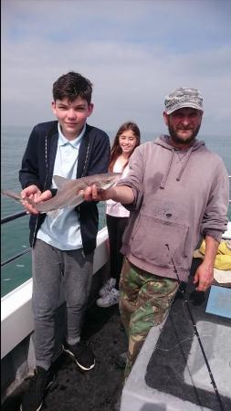 3 lb 8 oz Starry Smooth-hound by Bob Marshall