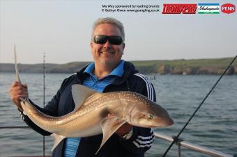 17 lb Starry Smooth-hound by Andy