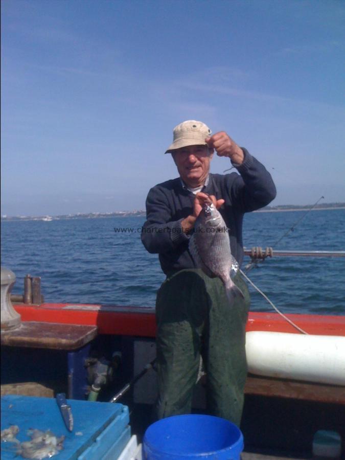 2 lb 8 oz Black Sea Bream by Peter from London