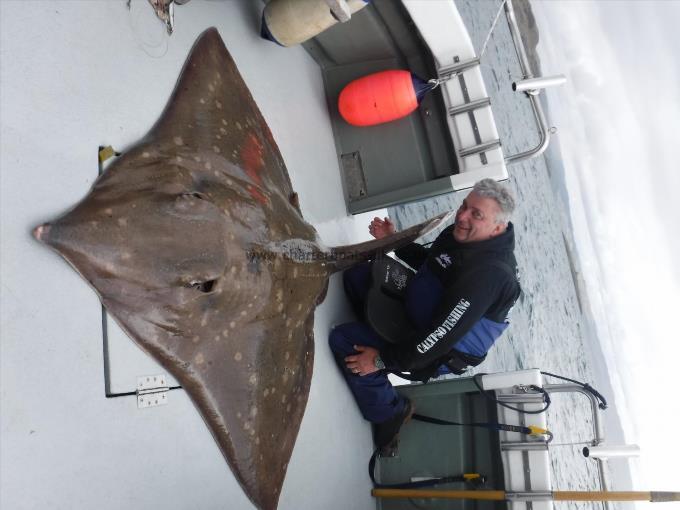 214 lb Common Skate by ian robson