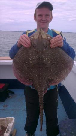 11 lb 8 oz Thornback Ray by sam