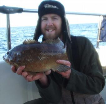 5 lb Ballan Wrasse by Jon Trevett