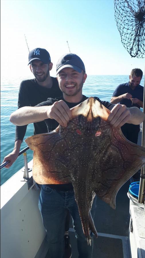 12 lb 4 oz Undulate Ray by Unknown
