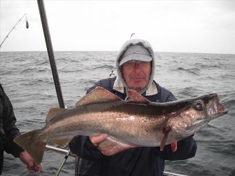 11 lb 5 oz Pollock by Brian