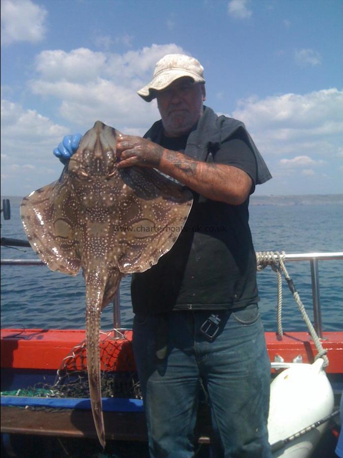 14 lb Undulate Ray by My mate Dave.....