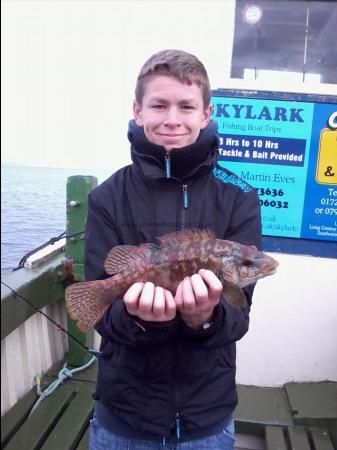 1 lb 8 oz Ballan Wrasse by Dan Lomax