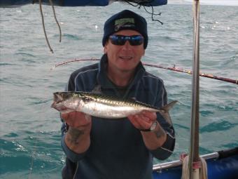 2 lb Mackerel by Nick