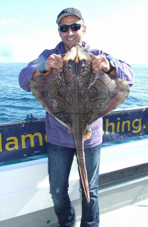 15 lb 8 oz Undulate Ray by Antonio Coparetto