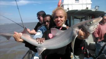 11 lb Smooth-hound by sophie