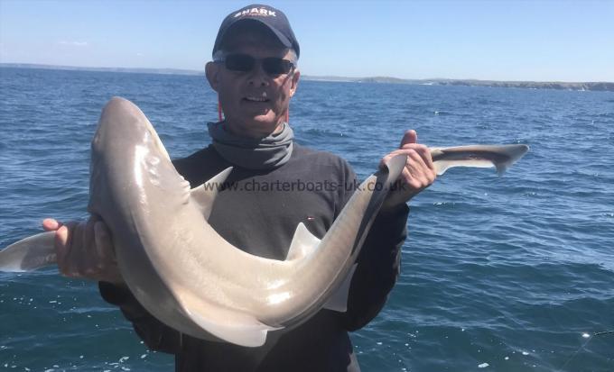 18 lb Smooth-hound (Common) by Gary Symons