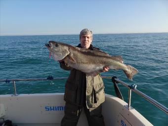 14 lb 4 oz Pollock by unknown