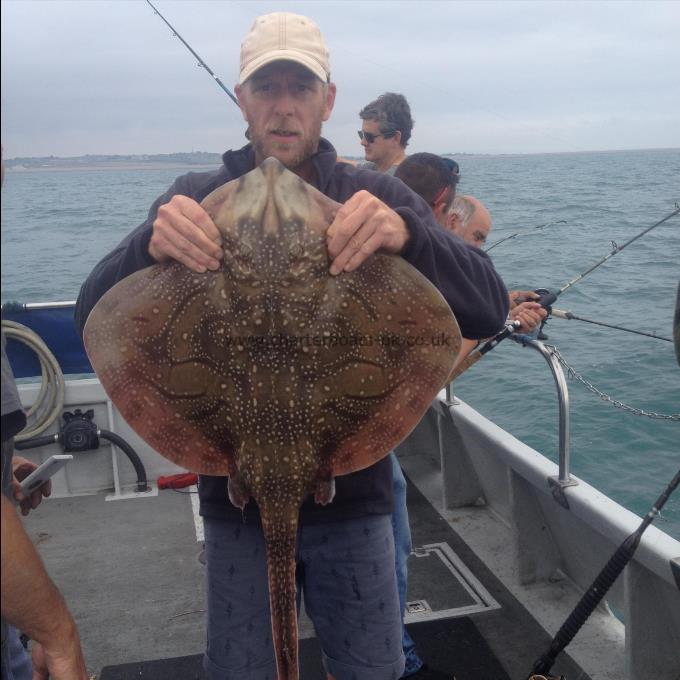 11 lb Undulate Ray by Jeremys Crew
