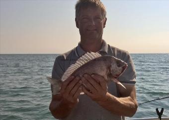 2 lb Black Sea Bream by Stephen Wake