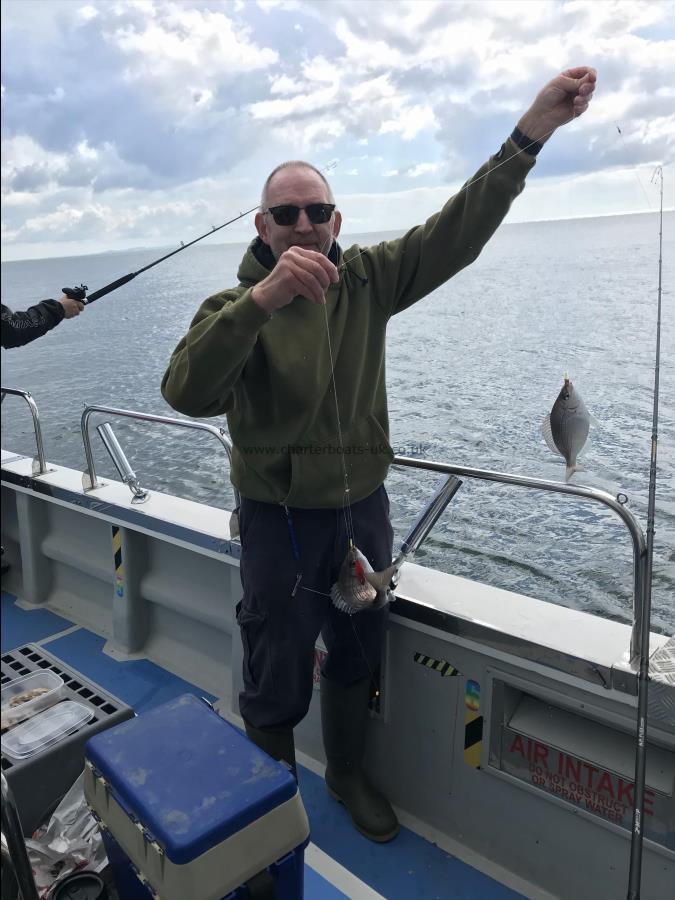 1 lb Black Sea Bream by Steve