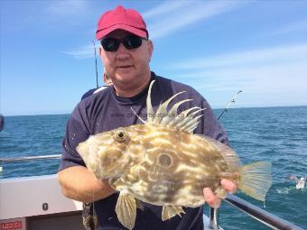 5 lb John Dory by Paul Morton