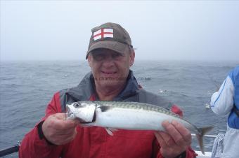 2 lb Mackerel by Barry