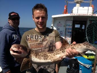 10 lb 7 oz Bull Huss by Dan Chappwood