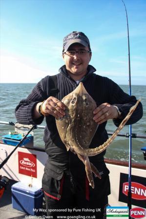 5 lb Thornback Ray by Ken