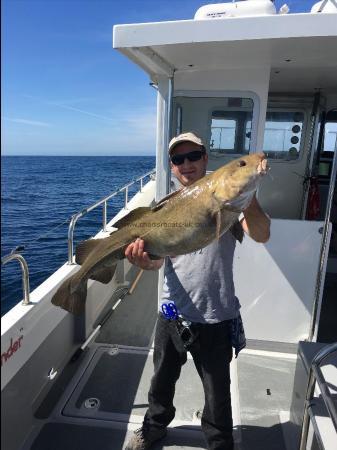 26 lb Cod by Unknown